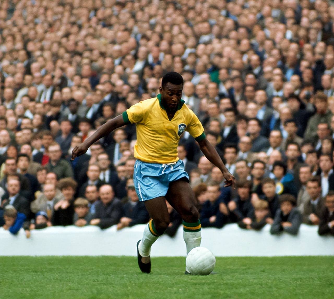 科迪罗兹对决奥巴费米争夺WWE与NXT冠军（科迪罗兹大战奥巴费米：WWE与NXT双冠之争）